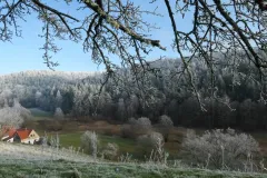 Wintertal