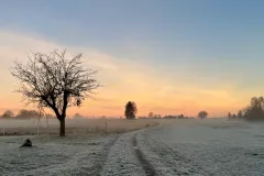Winterwiese