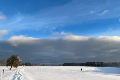 WinterwieseSonne